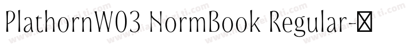 PlathornW03 NormBook Regular字体转换